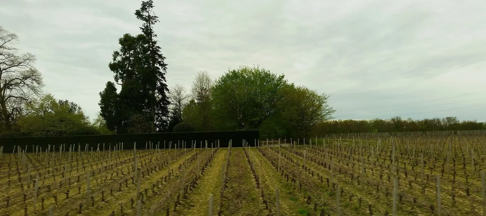 A Taste of The Margaux Wine Region