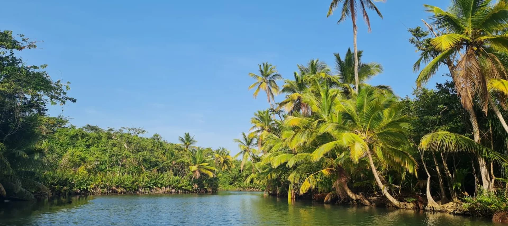 Indian River Rowboat Experience