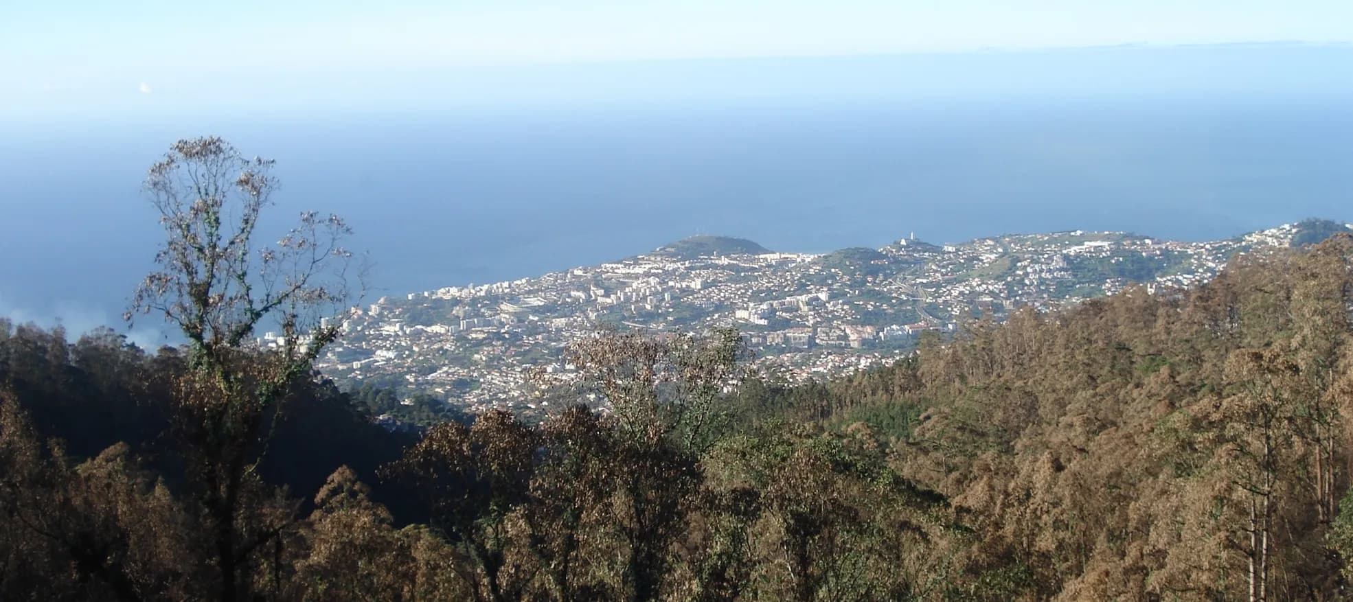 Scenic Madeira @ Ease
