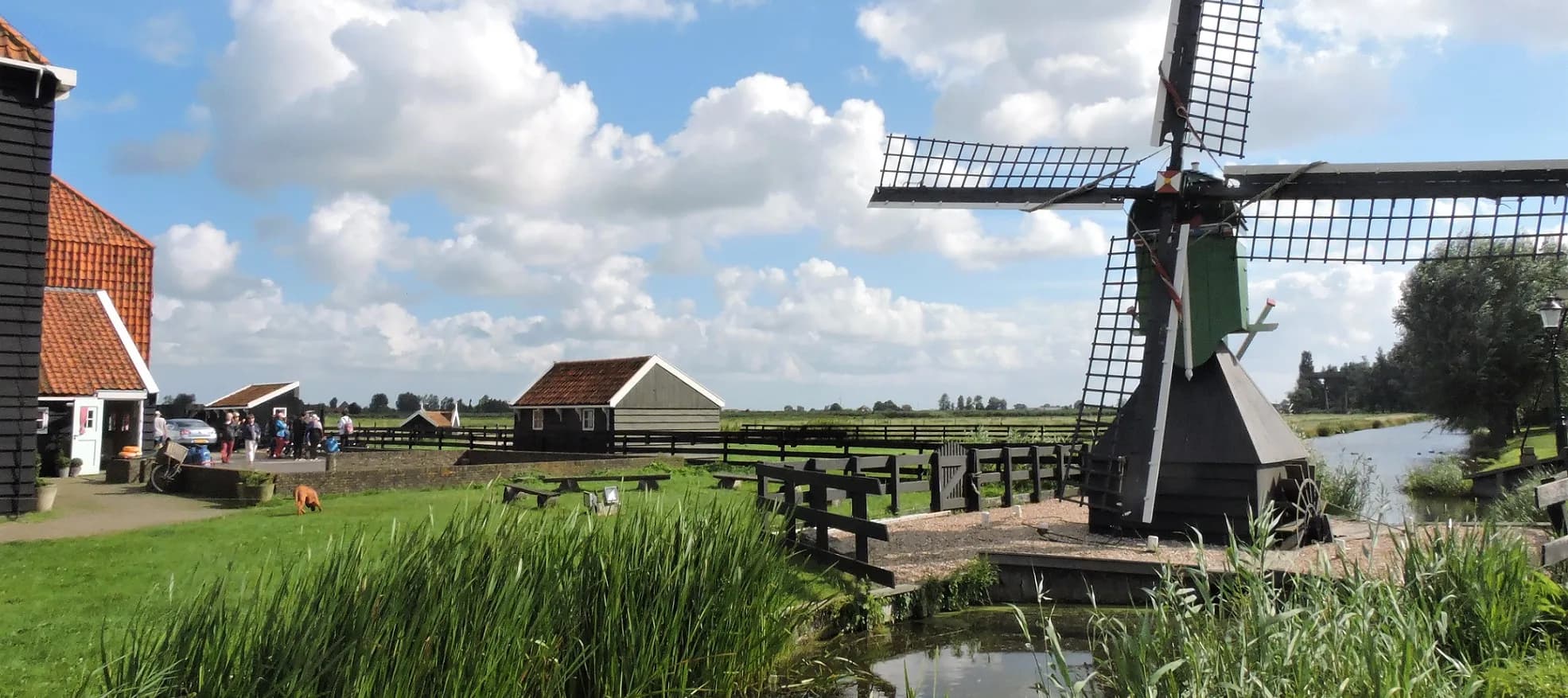 Windmills & Edam