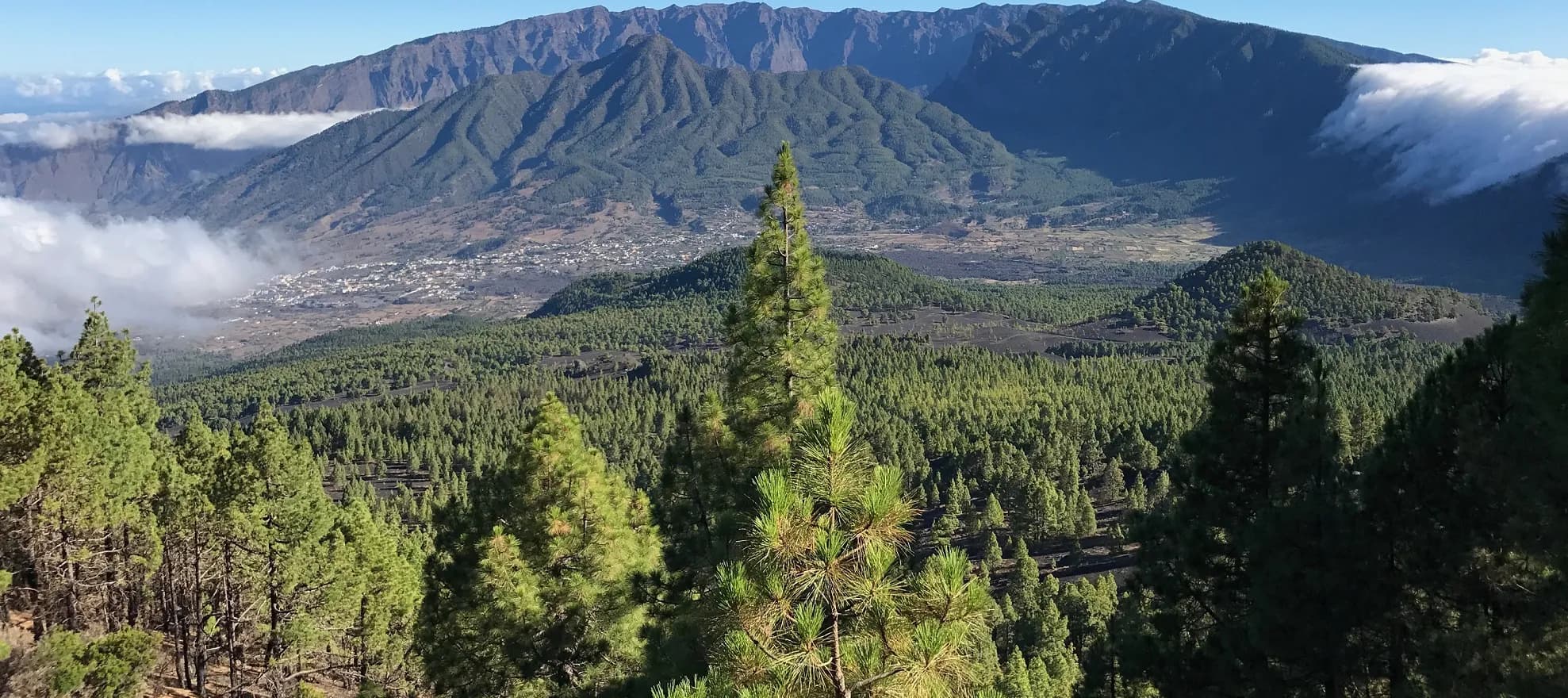 Highlights of La Palma