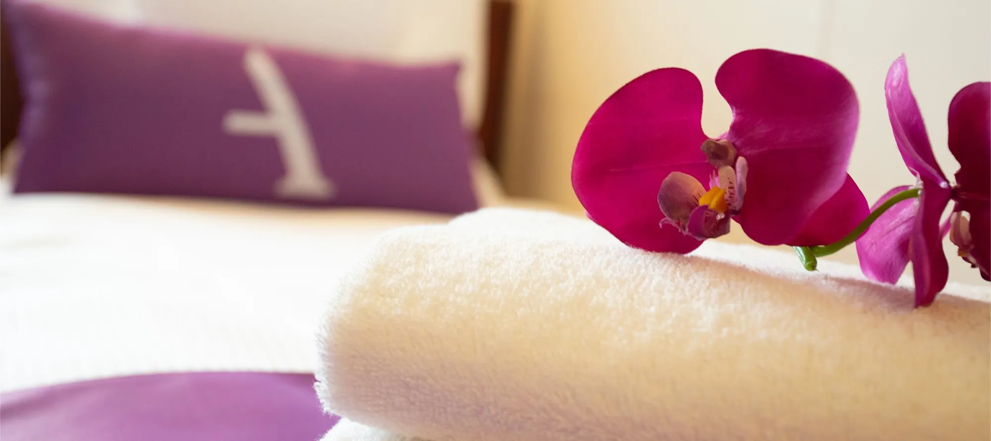 Orchid on folded white towels with a purple Ambassador pillow in the background on a neatly made bed.