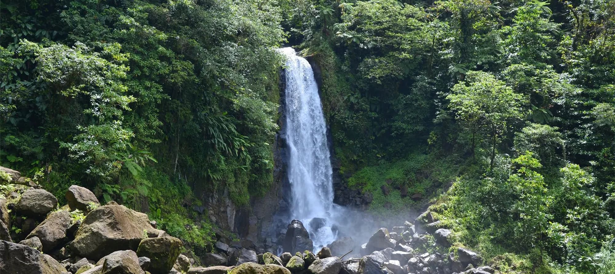 A waterfall cascading down a cliff in Roseau, Dominica surrounded by a forest