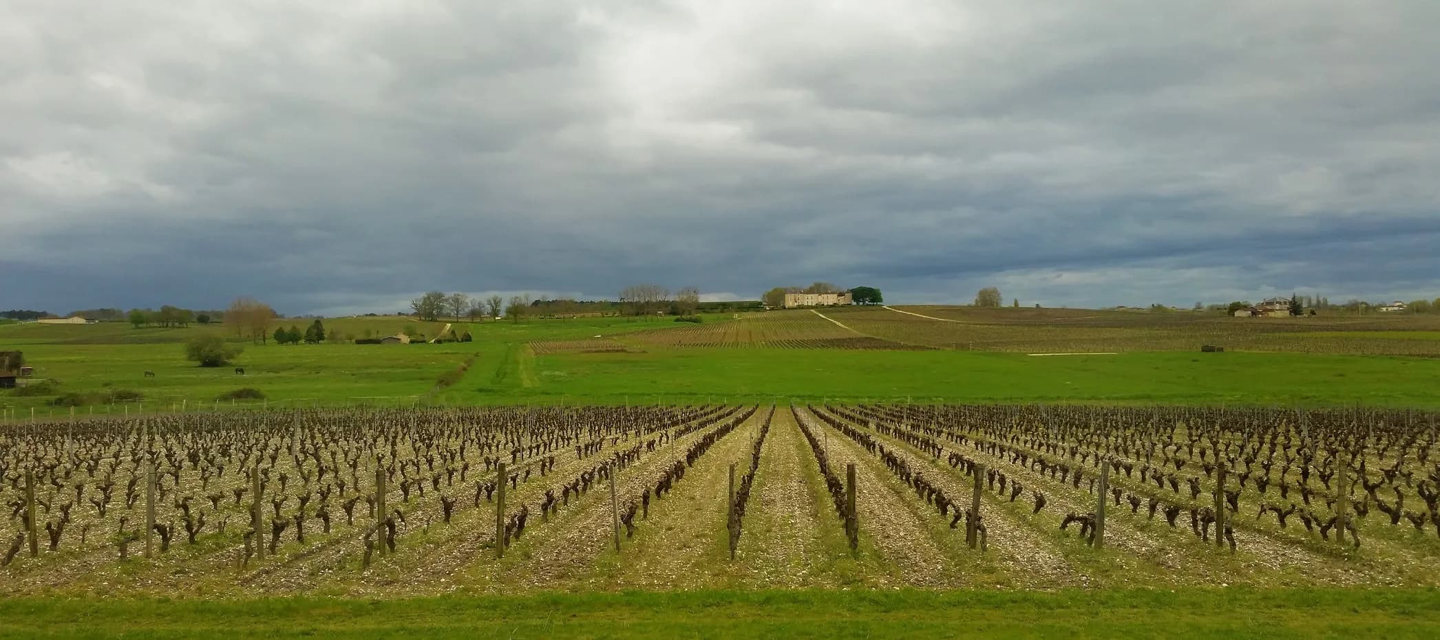 A Taste of the Medoc Region