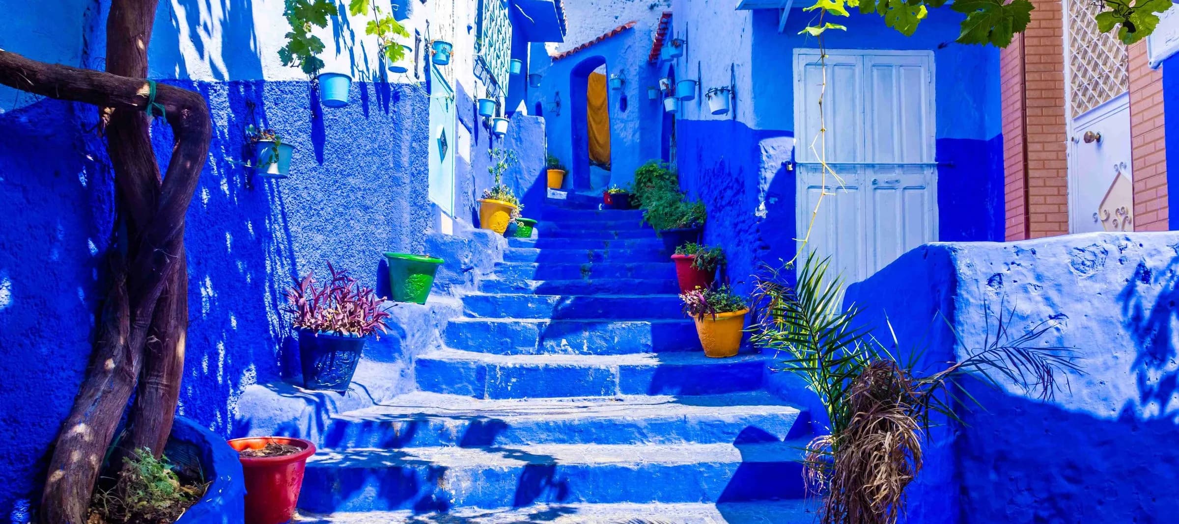 Discover Chefchaouen & Folkloric Show (Morocco)