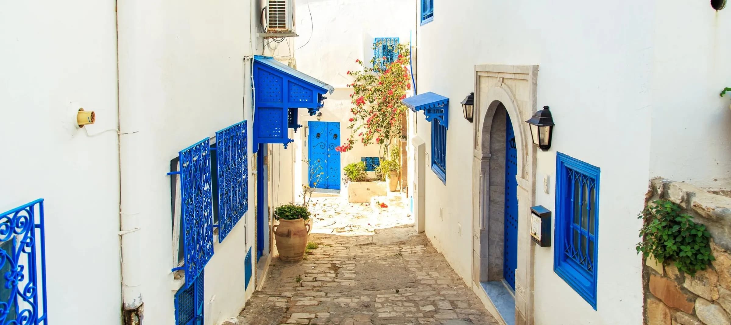 Carthage & Sidi Bou Said