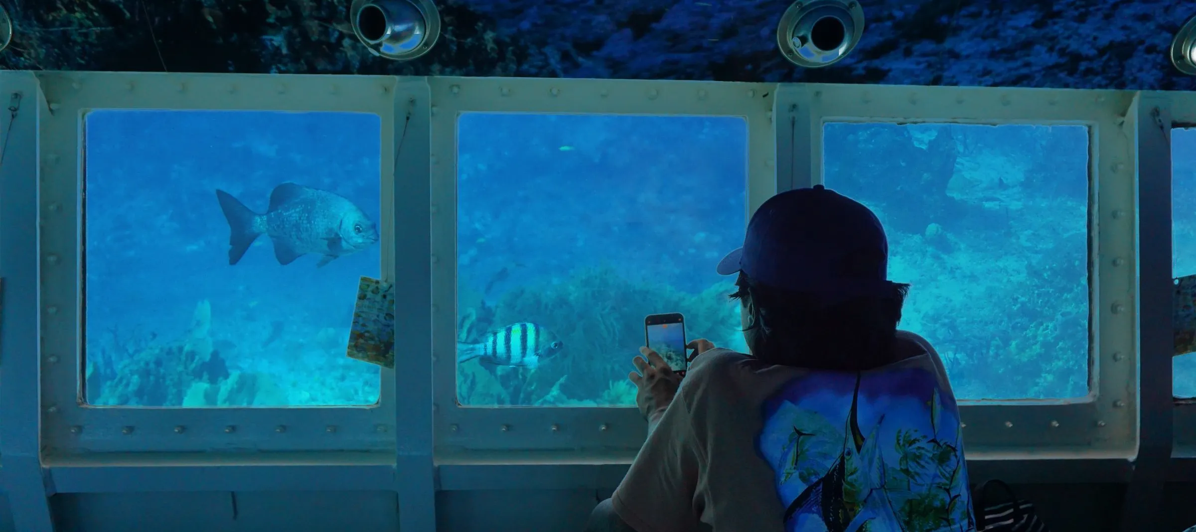 A Taste of Cozumel & Semi-Sub