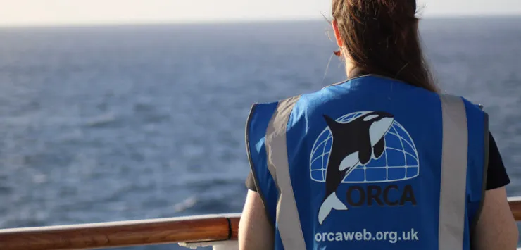 Uncharted Waters: Ambassador Cruise Line and ORCA's Anti-Whaling Campaign