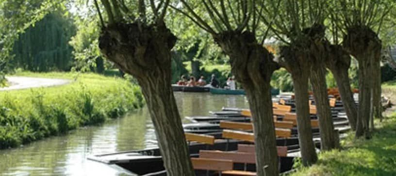 Green Venice