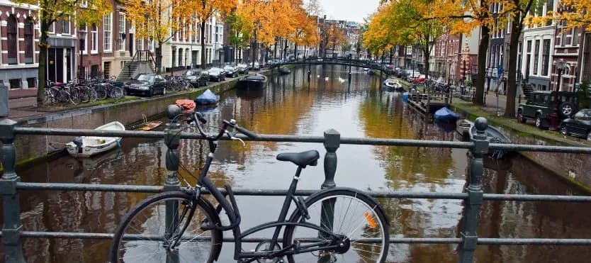 Amsterdam Transfer