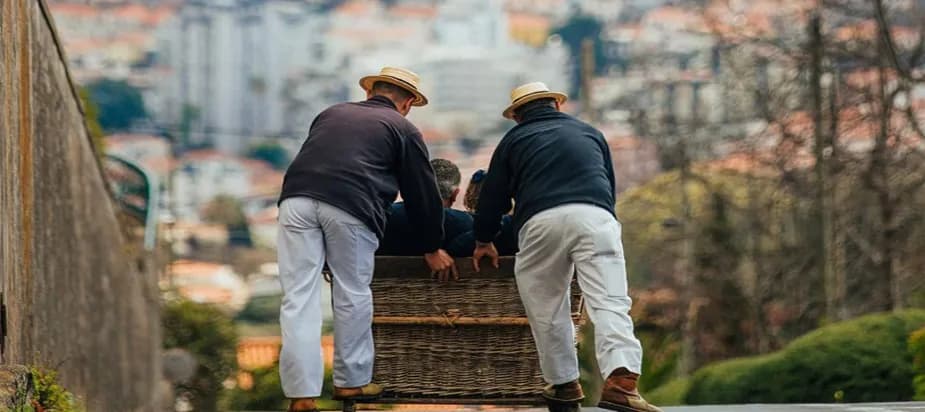 Monte Toboggan Adventure