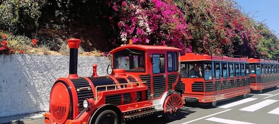 Santa Cruz Trolley Train & Walk