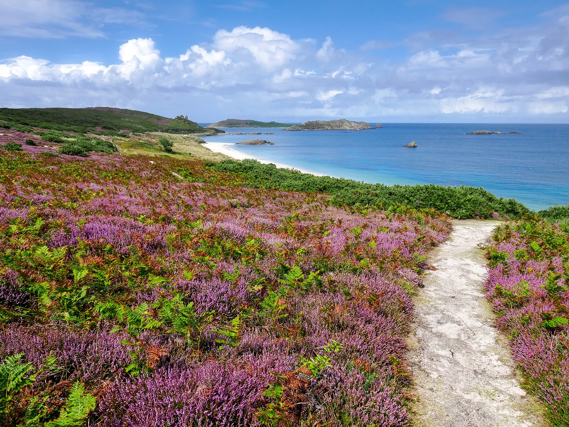 Pathway to the Great Bay on the Island of St Martin's, Isles of Scilly