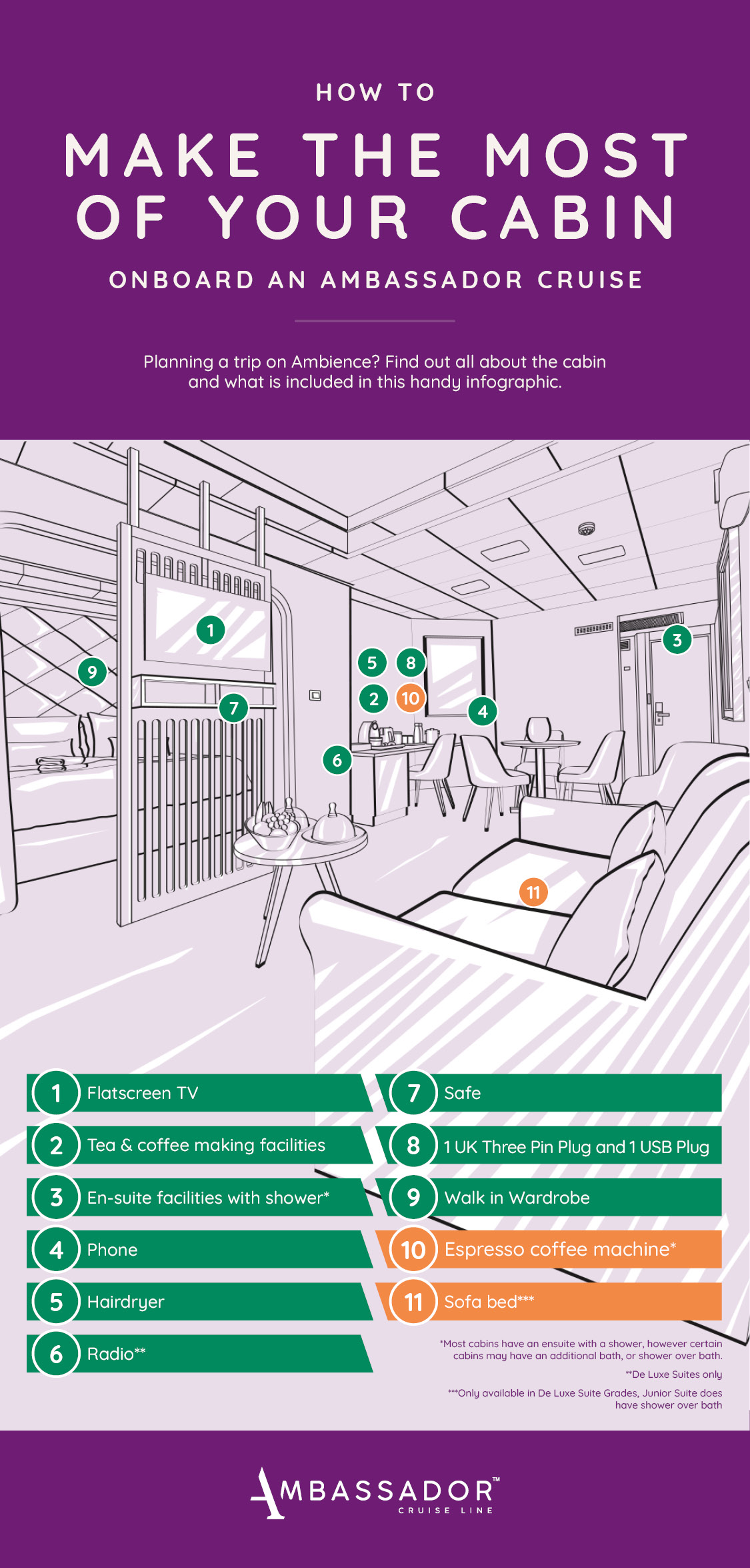 Graphic showing the room features