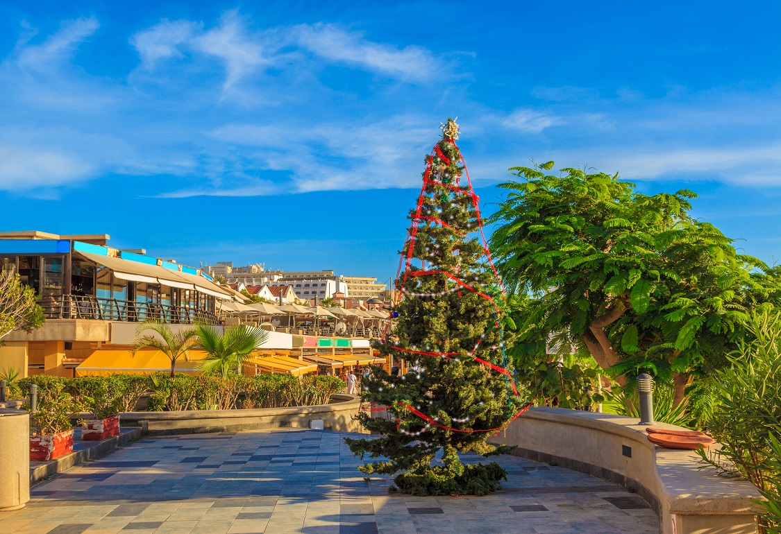 Christmas Tree on Tenerife Island